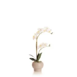 Artificial White Phalaenopsis Orchid In Beige Ceramic Plant Pot 9 Artificial White Phalaenopsis Orchid In Beige Ceramic Plant Pot -Home Decoration 30913556 alt03