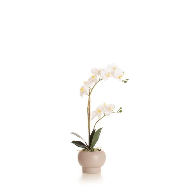 Artificial White Phalaenopsis Orchid In Beige Ceramic Plant Pot 6 Artificial White Phalaenopsis Orchid In Beige Ceramic Plant Pot - Image 4