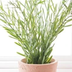 Artificial Rosemary In Orange Cement Plant Pot -Home Decoration 30918337 alt02