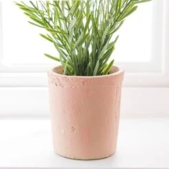 Artificial Rosemary In Orange Cement Plant Pot -Home Decoration 30918337 alt03
