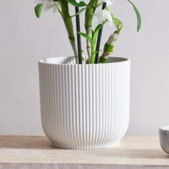 Dendrobium Bamboo Orchid House Plant In Vibes Pot -Home Decoration 30920698 alt02