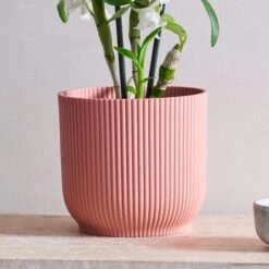 Dendrobium Bamboo Orchid House Plant In Vibes Pot -Home Decoration 30920699 alt02