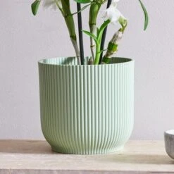 Dendrobium Bamboo Orchid House Plant In Vibes Pot -Home Decoration 30920702 alt02