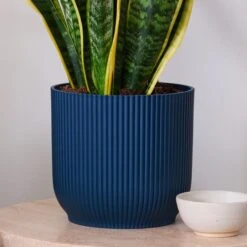 Snake House Plant In Elho Pot -Home Decoration 30920755 alt02