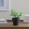 Artificial Fittonia Plant In Black Plant Pot -Home Decoration 30923357