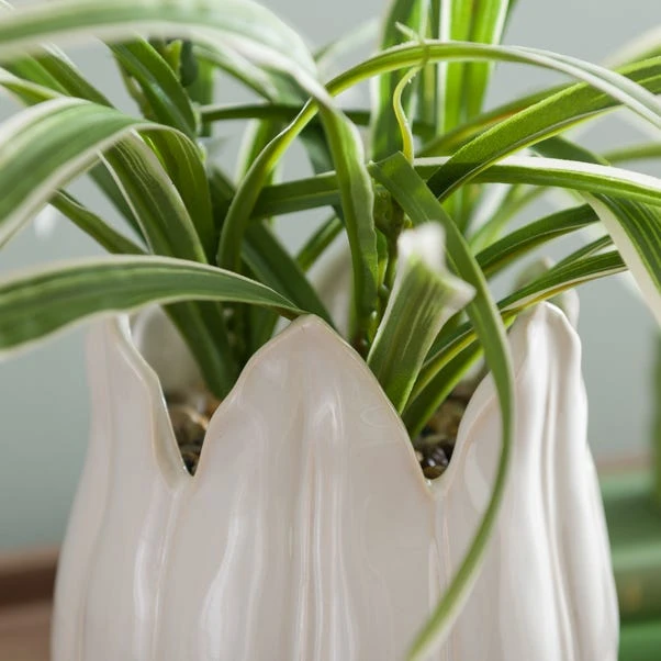 Artificial Variegated Yucca Plant In Ceramic Plant Pot 5 Artificial Variegated Yucca Plant In Ceramic Plant Pot - Image 3