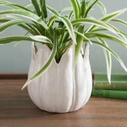 Artificial Variegated Yucca Plant In Ceramic Plant Pot 9 Artificial Variegated Yucca Plant In Ceramic Plant Pot -Home Decoration 30923366 alt03