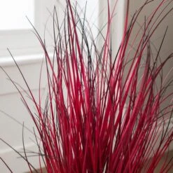 Artificial Red Grass In Black Plant Pot 8 Artificial Red Grass In Black Plant Pot -Home Decoration 30923370 alt02