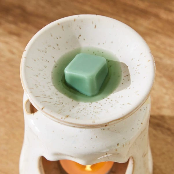 Set Of 6 Pistachio & Coconut Wax Melts 4 Set Of 6 Pistachio & Coconut Wax Melts - Image 2