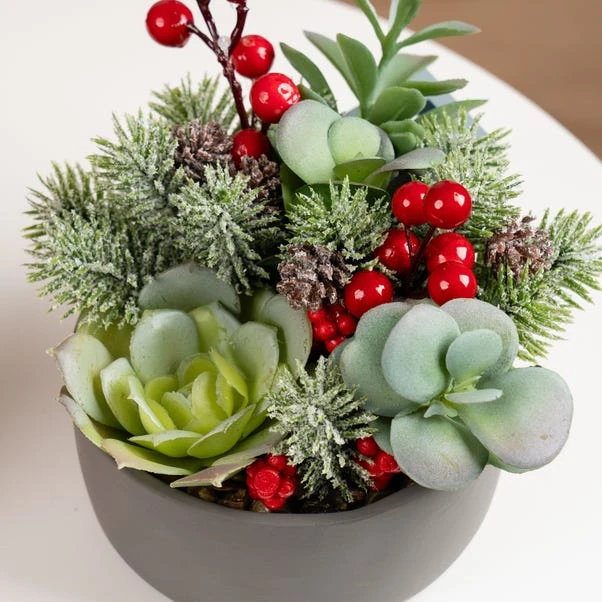 Artificial Christmas Succulents In Grey Cement Plant Pot 4 Artificial Christmas Succulents In Grey Cement Plant Pot - Image 2