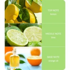 Heart And Home Ellipse Citrus Crush Multi Wick Candle -Home Decoration 30933011 alt03