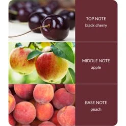 Heart And Home Ellipse Sweet Black Cherries Multi Wick Candle -Home Decoration 30933012 alt03