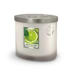 Heart And Home Ellipse Lime Splash Multi Wick Candle 8 Heart And Home Ellipse Lime Splash Multi Wick Candle -Home Decoration 30933014 alt02