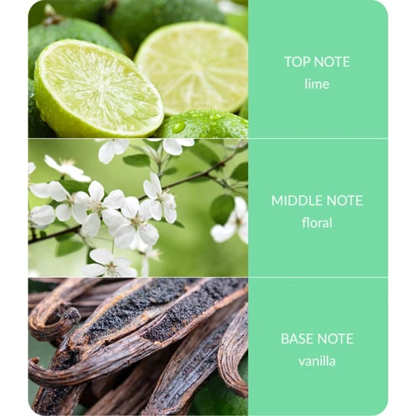 Heart And Home Ellipse Lime Splash Multi Wick Candle 6 Heart And Home Ellipse Lime Splash Multi Wick Candle - Image 4