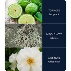 Heart And Home Ellipse River Rock Multi Wick Candle 9 Heart And Home Ellipse River Rock Multi Wick Candle -Home Decoration 30933019 alt03