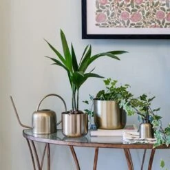 Kew Matt Brass Plant Mister 11 Kew Matt Brass Plant Mister -Home Decoration 30937030 alt02