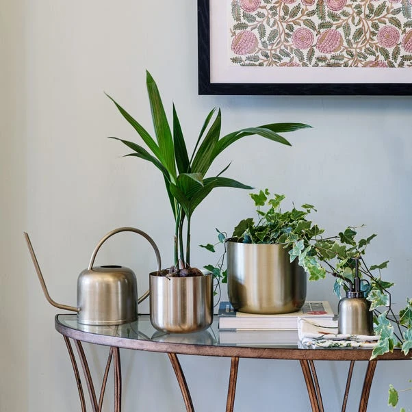 Kew Matt Brass Plant Mister 5 Kew Matt Brass Plant Mister - Image 3