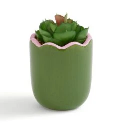 Artificial Succculent In Scalloped Ceramic Plant Pot -Home Decoration 30944942 alt02