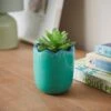 Artificial Succculent In Scalloped Ceramic Plant Pot