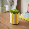 Artificial Succulent In Striped Ceramic Plant Pot 1 Artificial Succulent In Striped Ceramic Plant Pot -Home Decoration 30944992