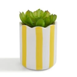 Artificial Succulent In Striped Ceramic Plant Pot -Home Decoration 30944992 alt02