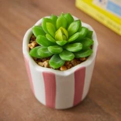 Artificial Succulent In Striped Ceramic Plant Pot -Home Decoration 30945001 alt01