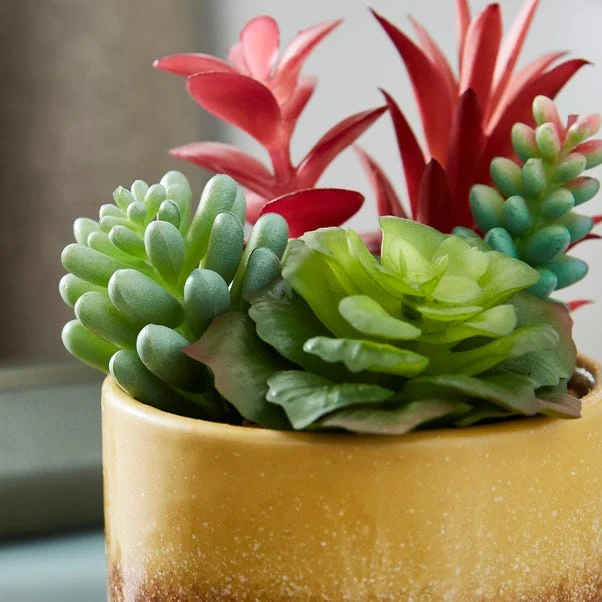 Artificial Succulents In Yellow Stripe Glazed Plant Pot 4 Artificial Succulents In Yellow Stripe Glazed Plant Pot - Image 2