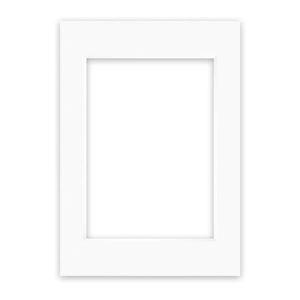 Nielsen Conservation White Picture Mount 18 Nielsen Conservation White Picture Mount - Image 16