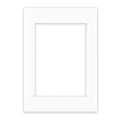 Nielsen Conservation White Picture Mount