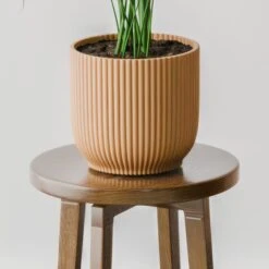 Kentia Palm House Plant In Elho Pot -Home Decoration 30963513 alt02