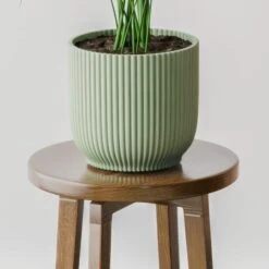 Kentia Palm House Plant In Elho Pot -Home Decoration 30963514 alt02