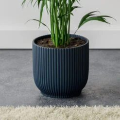Kentia Palm House Plant In Elho Pot -Home Decoration 30963521 alt02