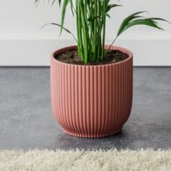 Kentia Palm House Plant In Elho Pot -Home Decoration 30963522 alt02