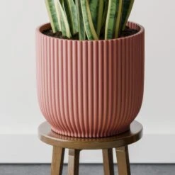 Snake House Plant In Elho Pot -Home Decoration 30963562 alt02