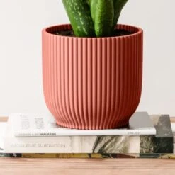 Aloe Vera House Plant In Elho Vibes Pot -Home Decoration 30963672 alt02