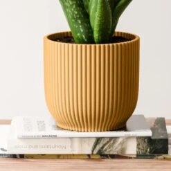 Aloe Vera House Plant In Elho Vibes Pot -Home Decoration 30963673 alt02