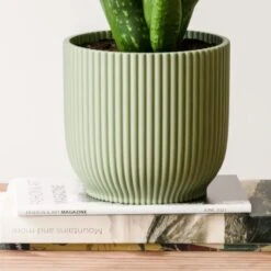 Aloe Vera House Plant In Elho Vibes Pot -Home Decoration 30963674 alt02
