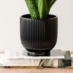 Aloe Vera House Plant In Ribbed Ceramic Pot -Home Decoration 30963678 alt02