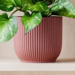 Marble Queen Pothos House Plant In Elho Pot 32 Marble Queen Pothos House Plant In Elho Pot -Home Decoration 30963706 alt02