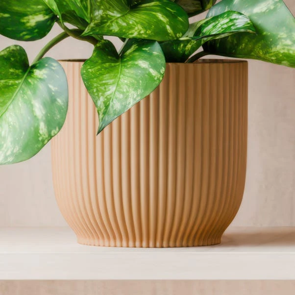 Marble Queen Pothos House Plant In Elho Pot 5 Marble Queen Pothos House Plant In Elho Pot - Image 3