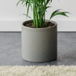Kentia Palm House Plant In Capri Pot -Home Decoration 30963854 alt02