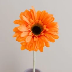 Orange Gerbera Stem -Home Decoration 30963898 alt02