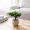 Artificial Bonsai Tree In Ceramic Plant Pot 1 Artificial Bonsai Tree In Ceramic Plant Pot -Home Decoration 30965279