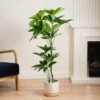 Artificial Umbrella Plant In Black Plant Pot 1 Artificial Umbrella Plant In Black Plant Pot -Home Decoration 30975103
