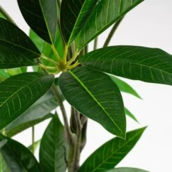 Artificial Umbrella Plant In Black Plant Pot -Home Decoration 30975103 alt01