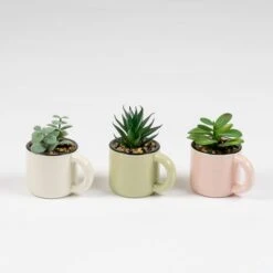 Set Of 3 Artificial Succulents In Mugs -Home Decoration 30975122 alt02